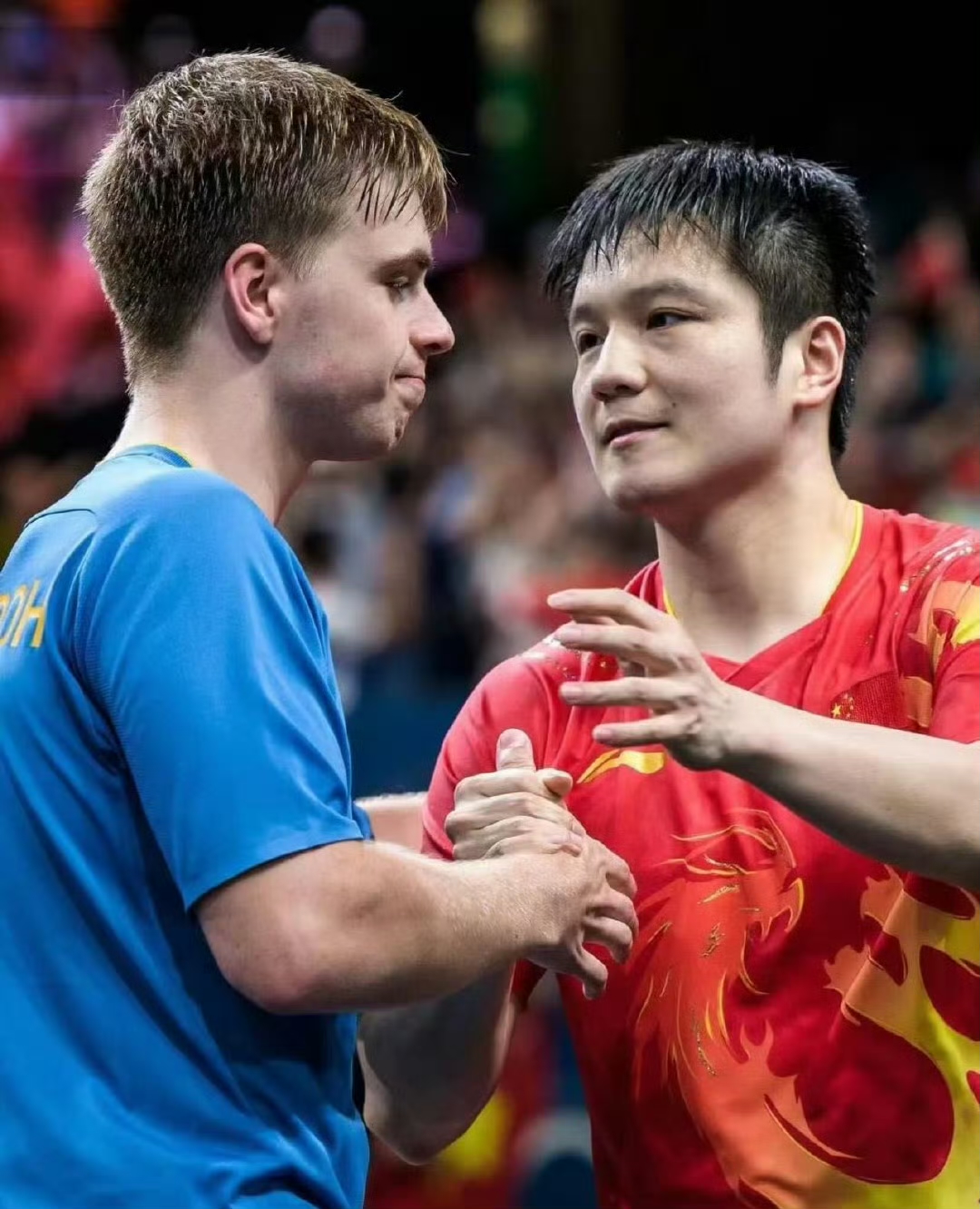 波兰队力克中国队，樊振东惊艳四座